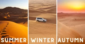Read more about the article The Best Time of Year for a Desert Safari in the UAE