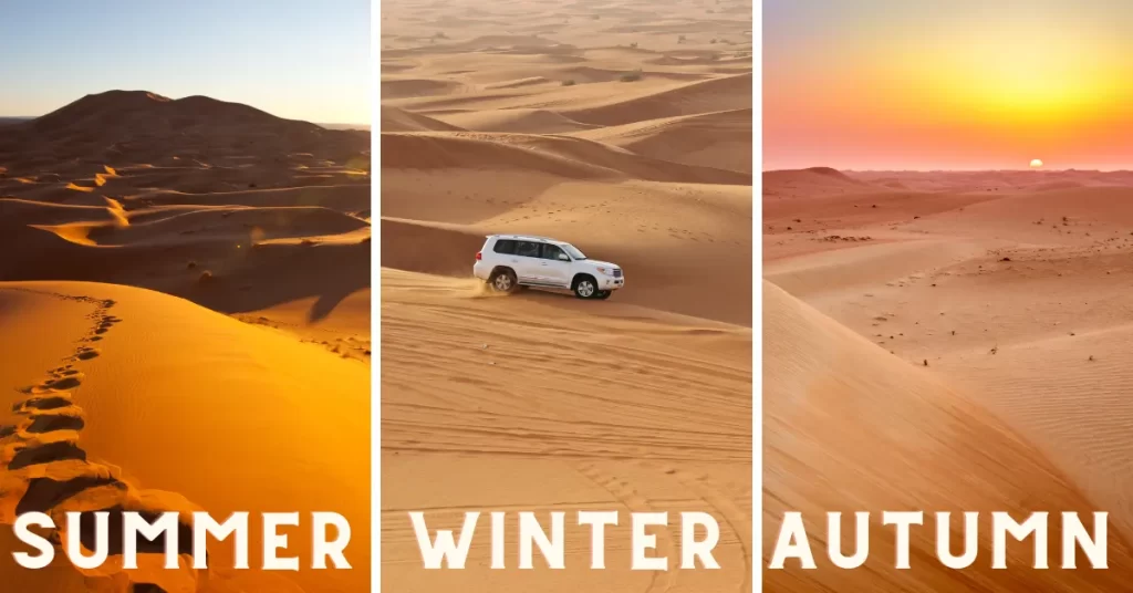 Read more about the article The Best Time of Year for a Desert Safari in the UAE