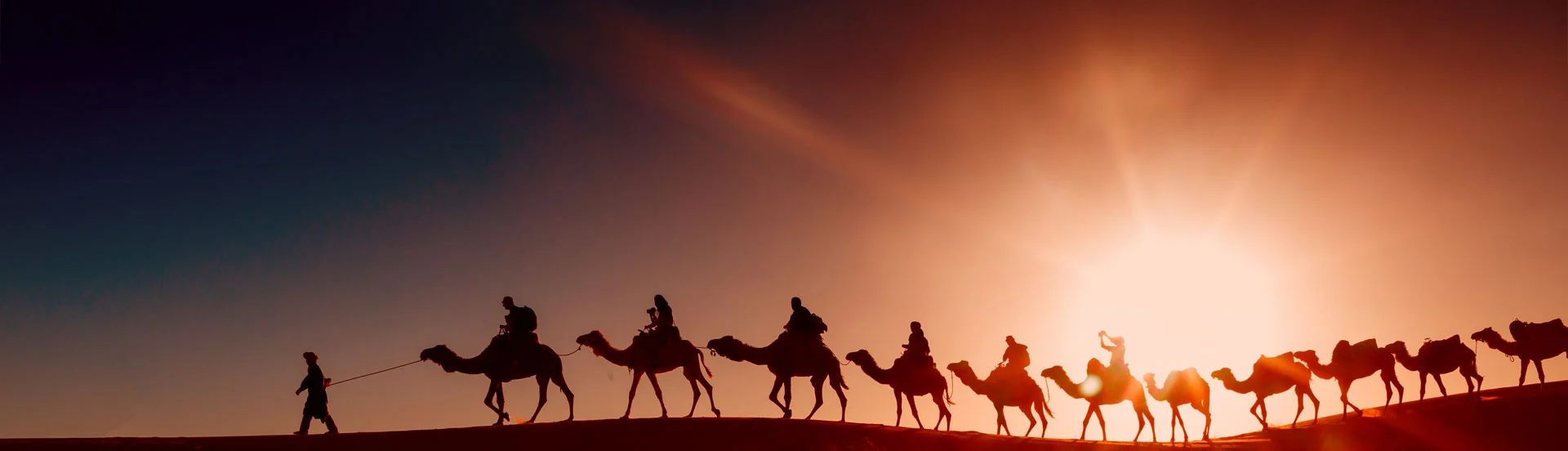 UAE Desert Safari Banner